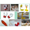 Automatic Chicken Drinking Line